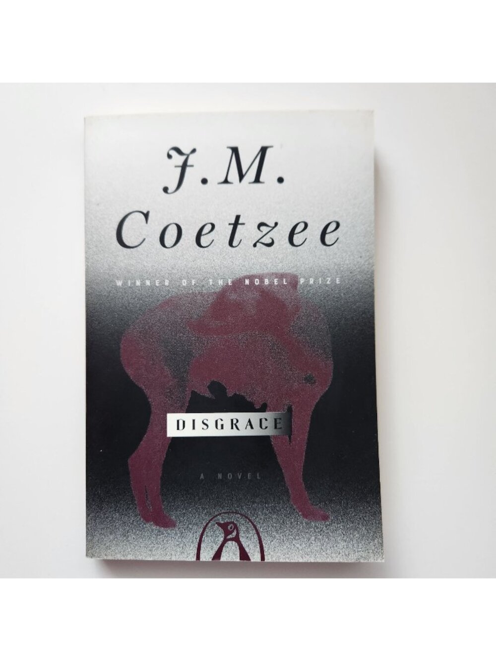 Disgrace By J.M. Coetzee Paperback Penguin Winner Of Booker Prize